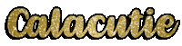 Logo Text Sticker by Calakids Boutique