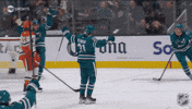 San Jose Win GIF by NHL