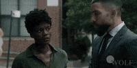 Dick Wolf Fbi GIF by Wolf Entertainment