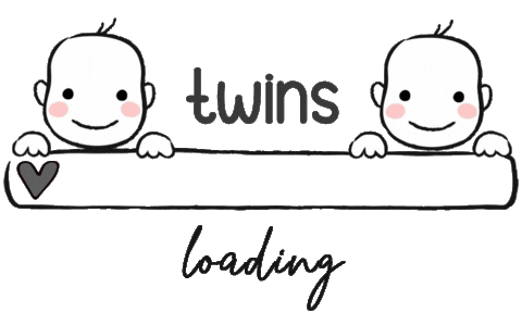 Twins Sticker