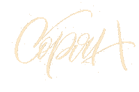 Sorry Lettering Sticker