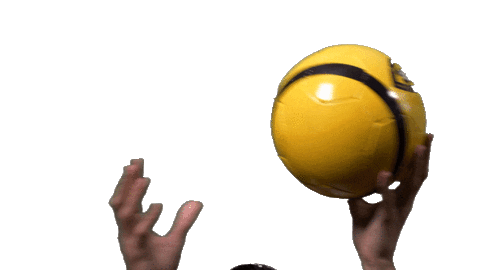 Basketball Ball Sticker by VVV-Venlo