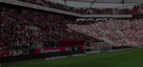 giphygifgrabber leverkusen schweigeminute GIF