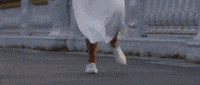 Happy France GIF by Casol