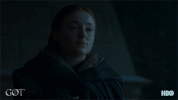 gameofthrones game of thrones hbo GIF