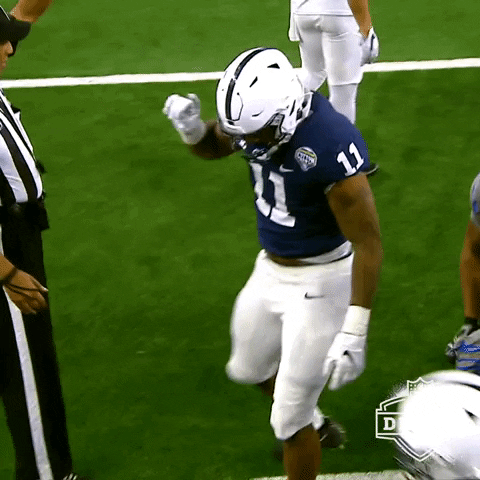 Penn State No GIF by NFL