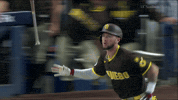 High Five Home Run GIF by MLB