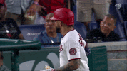 Home Run Sport GIF by MLB