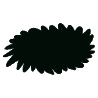 Circle Sticker