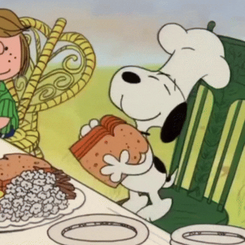 Thanksgiving Turkey GIF by Respective