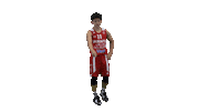 Basketball Hoops Sticker by Basket_fi