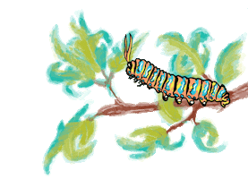 The Butterfly Art Sticker by Foil Me