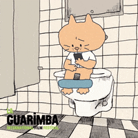 Shocked GIF by La Guarimba Film Festival