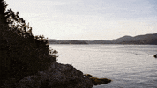 HallmarkChannel love romance hallmark hallmark channel GIF