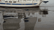 HallmarkChannel love romance hallmark hallmark channel GIF