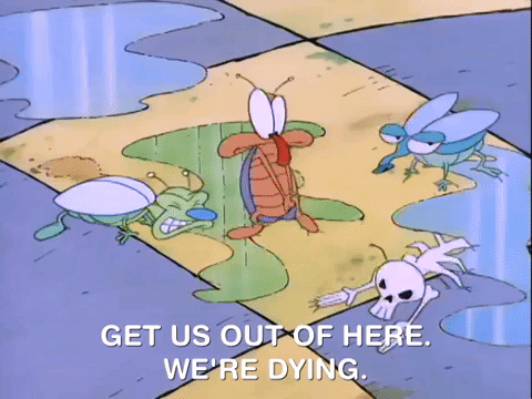 rockos modern life nicksplat GIF