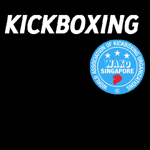 activered giphygifmaker certification level1 wakosingaporekickboxingcoach GIF