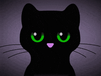 Black Cat Eww GIF
