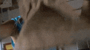 melissa henderson soccer GIF by Houston Dash