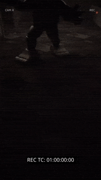 Chica Bonnie GIF by Youtooz