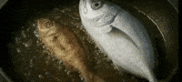 Bigger Fish To Fry GIF