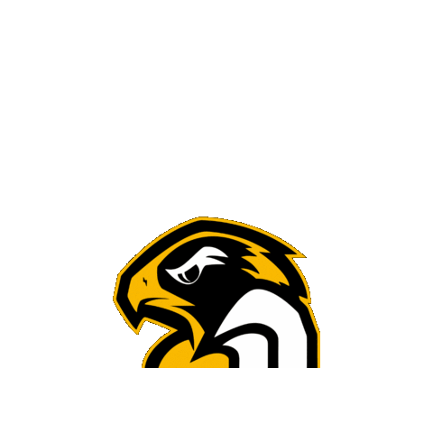 MuensterBlackhawks giphygifmaker football blackhawks muenster Sticker