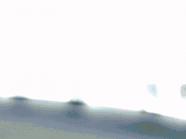 Mad Jay GIF