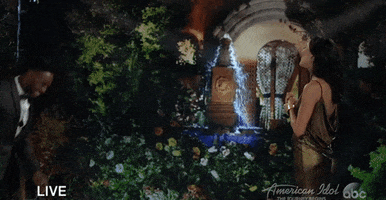 after the final rose abc GIF by The Bachelor