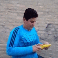 bugs eating GIF