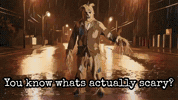 Horror Film Halloween GIF