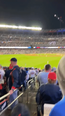 Atlanta Braves Fans Throw Debris Onto Field After Home Plate Call