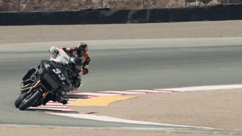 Ride GIF by Harley-Davidson