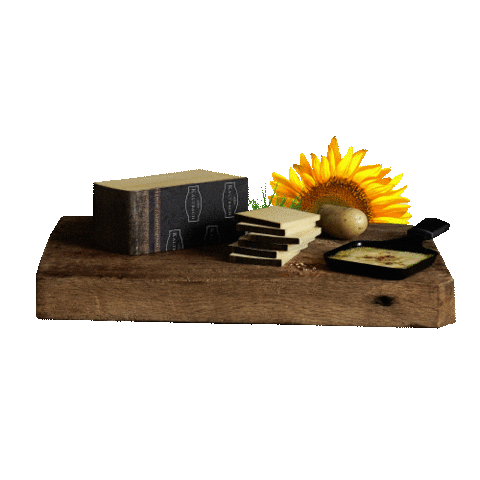 Emmicheesenl giphyupload Sticker