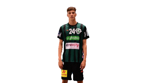 Sport Handball Sticker by DIE RECKEN