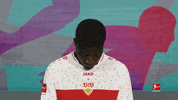 Vfb Stuttgart Football GIF by Bundesliga