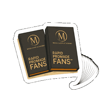 Lashes Sticker by Mega Lash Academy