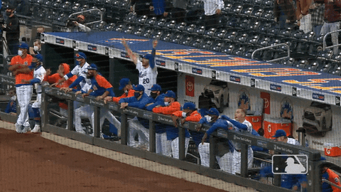 Happy Ny Mets GIF by New York Mets
