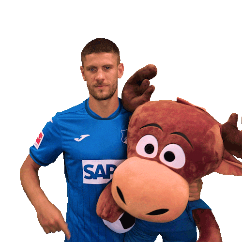 Andrej Kramaric Sport Sticker by TSG Hoffenheim