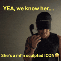 Icon Pilates GIF by heroboard fitnes