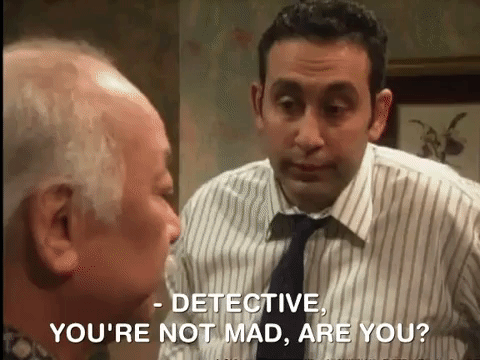 the mystery files of shelby woo nicksplat GIF