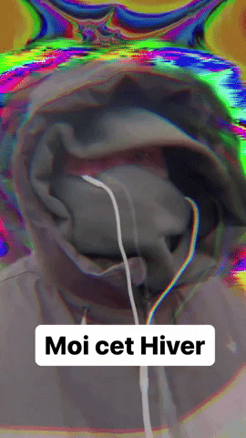 Hiver Froid GIF by systaime