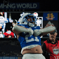 Byu Football Celebration GIF by BYU Cougars