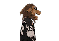 Ice Hockey Sticker by NHL