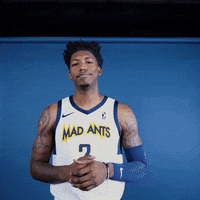 themadants basketball nba come on man bad call GIF