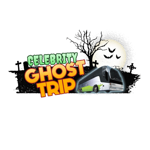 Coach Trip E4 Sticker by PotatoITV