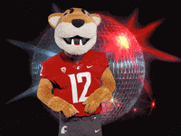 Washington State Go Cougs GIF by WSU Pullman