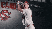 Hitting South Carolina GIF by gamecocksonline