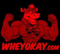 wheyokay wheyokay wheyok GIF