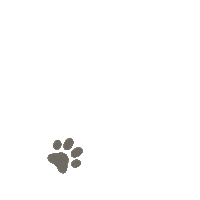 Cat Sticker by VetPartners