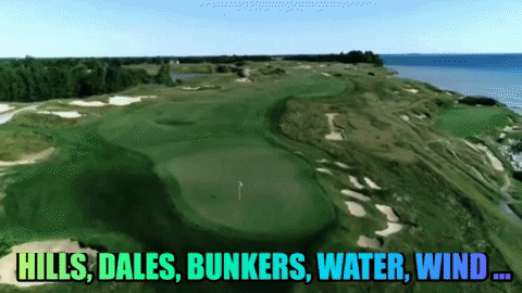 VicVik giphygifmaker GIF